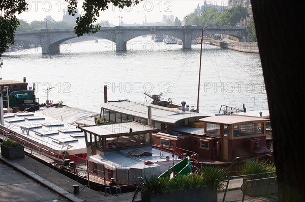 France, Region Ile de France, Paris 7e arrondissement, esplanade des Invalides, Pont Alexandre III,