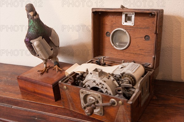 France, Region Ile de France, Hauts de Seine, Suresnes, fort du Mont Valerien, musee de la colombophilie militaire, pigeons, armee, defense, vaillant,