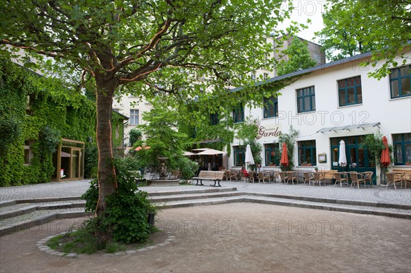 Allemagne, Germany, Berlin, Scheunenviertel, quartier des Granges, cour, arbres et guirlandes lumineuses,