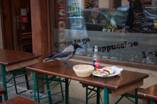 Allemagne, Germany, Berlin, Scheunenviertel, quartier des Granges, restaurant, cafe, terrasse