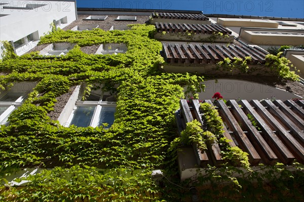 Allemagne (Germany), Berlin, Prenzlauer Berg, Gaudy Strasse, facades,