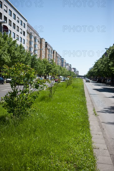 Allemagne (Germany), Berlin, Friedrichshain, immeuble, ancien Berlin Est, avenue avec terre plein central