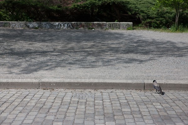 Allemagne (Germany), Berlin, Prenzlauer Berg, Mauer Park, vestiges du Mur de Berlin, jardin public,