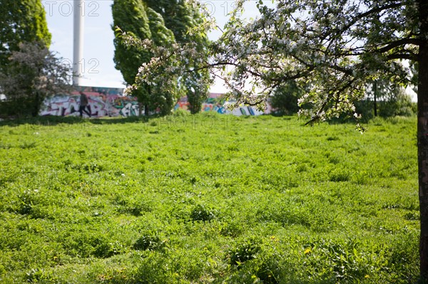 Allemagne (Germany), Berlin, Prenzlauer Berg, Mauer Park, vestiges du Mur de Berlin, jardin public,