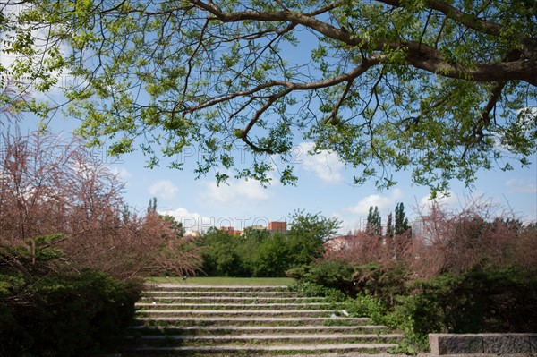 Allemagne (Germany), Berlin, Prenzlauer Berg, Mauer Park, vestiges du Mur de Berlin, jardin public,