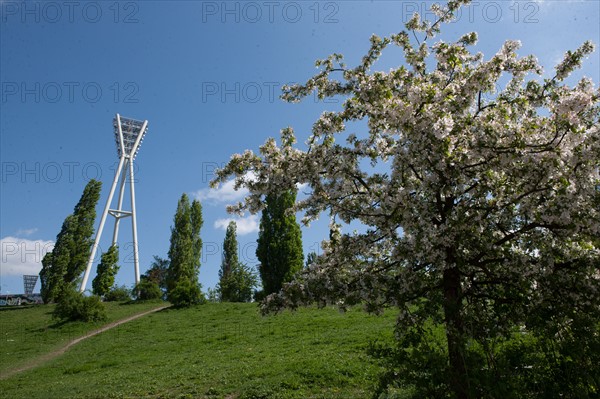 Allemagne (Germany), Berlin, Prenzlauer Berg, Mauer Park, vestiges du Mur de Berlin, jardin public,