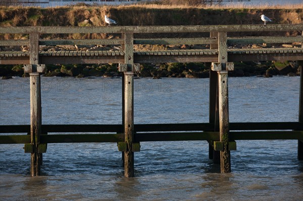 France, region Basse Normandie, Calvados, Cote fleurie, Trouville-sur-Mer, plage, jetee, estacade, phare, mer