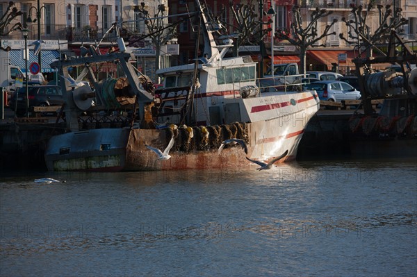 France, region Basse Normandie, Calvados, Cote fleurie, Trouville-sur-Mer, port, chalutiers a quai, mouettes, eau, la Touques,