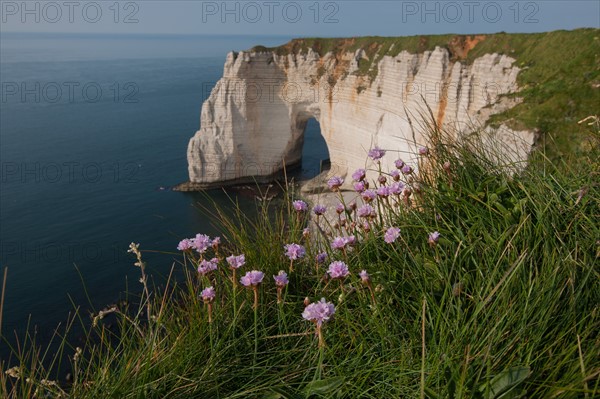 France, region Haute Normandie, Seine Maritime, pays des hautes falaises, Etretat, falaise d'aval, la manneporte