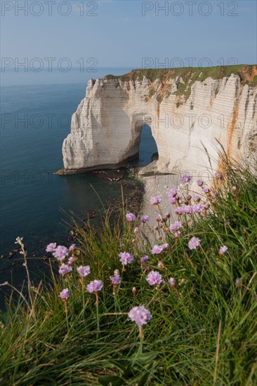 France, region Haute Normandie, Seine Maritime, pays des hautes falaises, Etretat, falaise d'aval, la manneporte