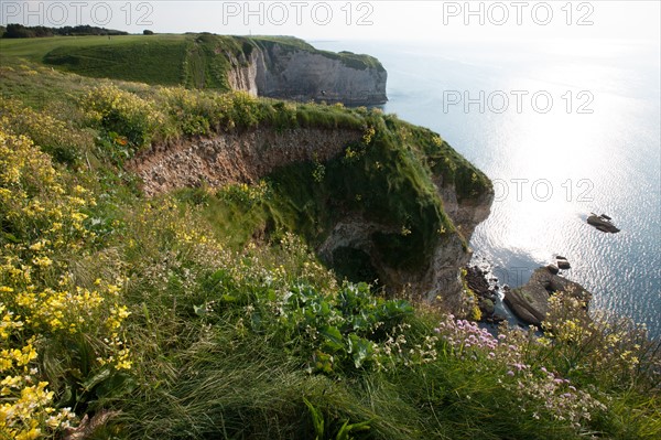 France, region Haute Normandie, Seine Maritime, pays des hautes falaises, Etretat, falaise d'aval,