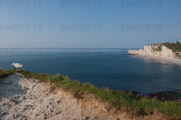 France, region Haute Normandie, Seine Maritime, pays des hautes falaises, Etretat, falaise d'aval,