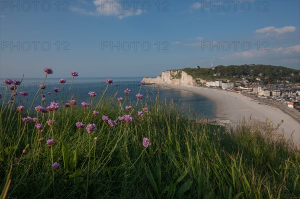 France, region Haute Normandie, Seine Maritime, pays des hautes falaises, Etretat, falaise d'aval,