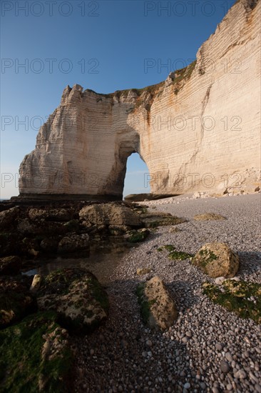 France, region Haute Normandie, Seine Maritime, pays des hautes falaises, Etretat, falaise d'aval,
