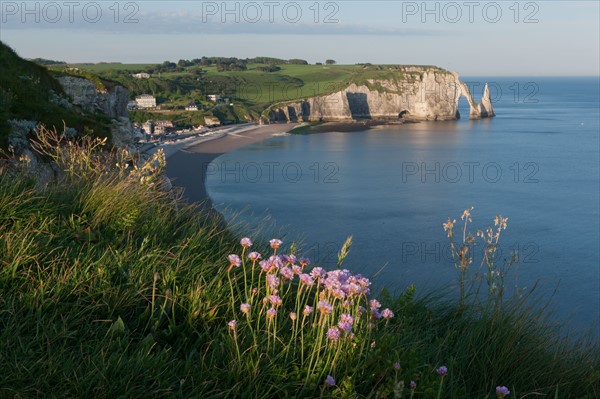 France, region Haute Normandie, Seine Maritime, pays des hautes falaises, Etretat, falaise d'aval,