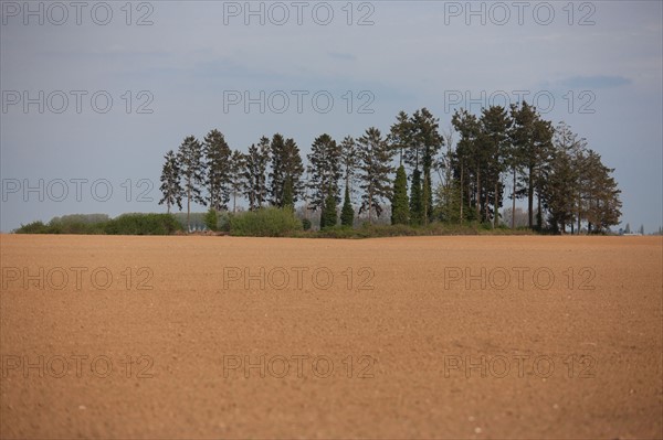 France, Haute Normandie, Eure, Beaumontel, Gite et Compagnie des Petits Champs,