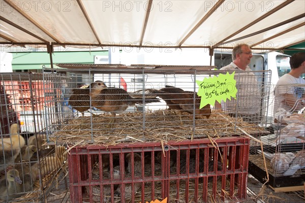 France, Ile de France, Essonne, Milly-la-Foret, halles du marche,
Mention obligatoire : CRT PIdF