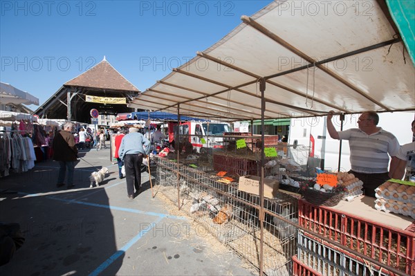 France, Ile de France, Essonne, Milly-la-Foret, halles du marche,
Mention obligatoire : CRT PIdF