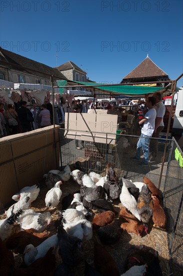 France, Ile de France, Essonne, Milly-la-Foret, halles du marche,
Mention obligatoire : CRT PIdF