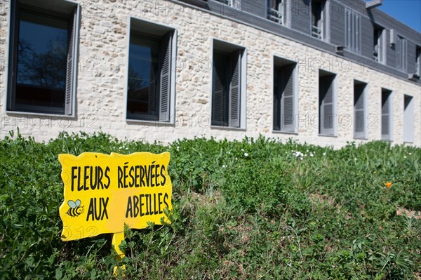 France, Ile de France, Essonne, Milly-la-Foret, office du tourisme, maison du Parc naturel Regional du Gatinais,
Mention obligatoire : CRT PIdF