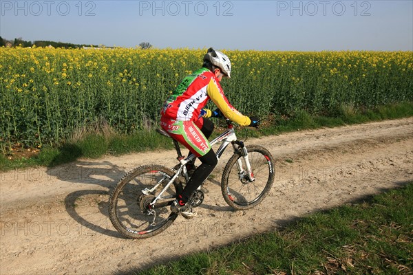 France, Haute Normandie, Seine Maritime, Abbaye du Valasse, journee des sports, randonnee, equitation, attelage et vtt, 30 mars 2014,