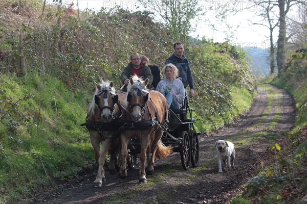 France, Haute Normandie, Seine Maritime, Abbaye du Valasse, journee des sports, randonnee, equitation, attelage et vtt, 30 mars 2014,