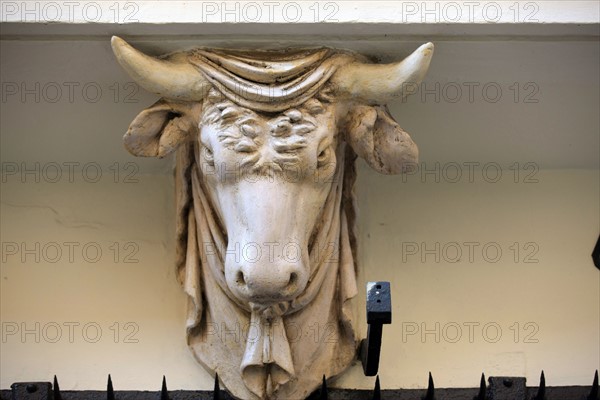 France, Ile de France, Paris 3e arrondissement, Le Marais, 67 rue de Turenne, detail de tete de taureau soutenant le balcon, facade sur rue, immeuble, ancienne boucherie sous le Premier Empire