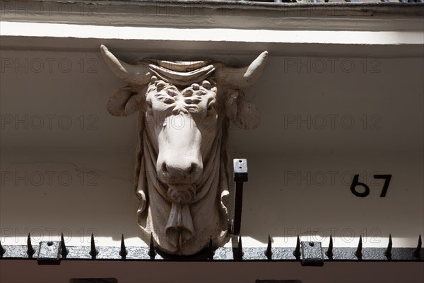 France, Ile de France, Paris 3e arrondissement, Le Marais, 67 rue de Turenne, detail de tete de taureau soutenant le balcon, facade sur rue, immeuble, ancienne boucherie sous le Premier Empire