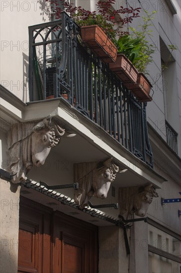 France, Ile de France, Paris 3e arrondissement, Le Marais, 67 rue de Turenne, detail de tete de taureau soutenant le balcon, facade sur rue, immeuble, ancienne boucherie sous le Premier Empire