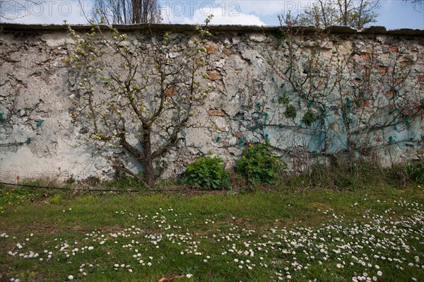 France, Ile de France, Seine-Saint-Denis, Montreuil-sous-Bois, 4 rue du Jardin Ecole, horticulture, Societe Regionale d'Horticulture de Montreuil, SRHM, murs a peches.