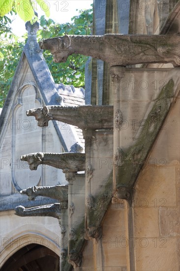 France, Ile de France, Paris 5e arrondissement, cloitre de l'eglise Saint-Severin, ancien charnier, cimetiere, voutes,