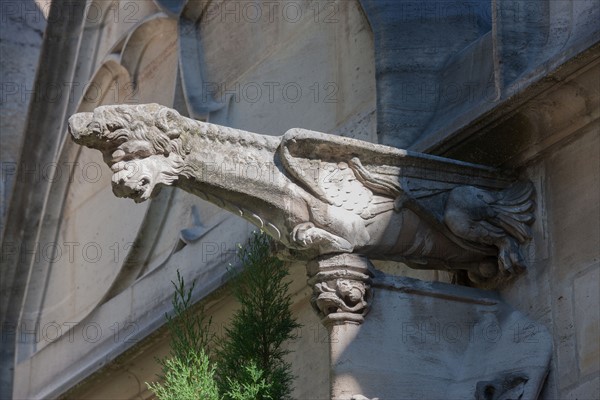 France, Ile de France, Paris 5e arrondissement, cloitre de l'eglise Saint-Severin, ancien charnier, cimetiere, voutes,