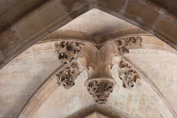 France, Ile de France, Paris 5e arrondissement, cloitre de l'eglise Saint-Severin, ancien charnier, cimetiere, voutes,