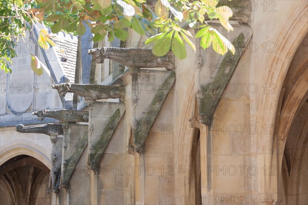 France, Ile de France, Paris 5e arrondissement, cloitre de l'eglise Saint-Severin, ancien charnier, cimetiere, voutes,