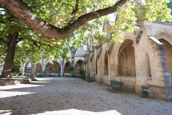 France, Ile de France, Paris 5e arrondissement, cloitre de l'eglise Saint-Severin, ancien charnier, cimetiere, voutes,