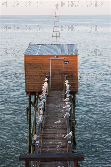 France, région Pays de la Loire, Loire Atlantique, Pornic, corniche, cabane de pêche, carrelet.