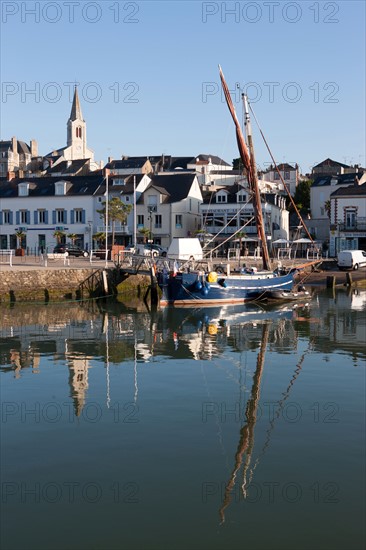 France, région Pays de la Loire, Loire Atlantique, Pornic, port et château.