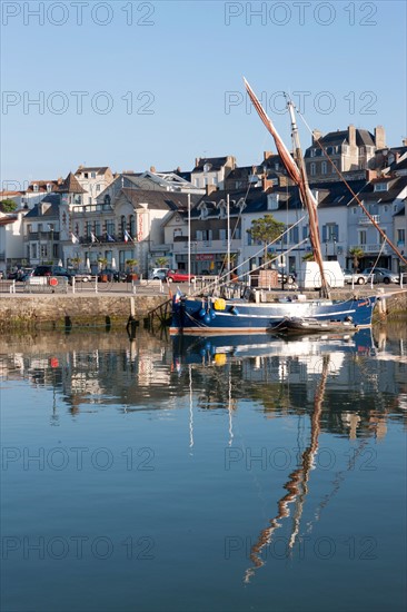 France, région Pays de la Loire, Loire Atlantique, Pornic, port et château.