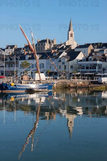 France, région Pays de la Loire, Loire Atlantique, Pornic, port et château.