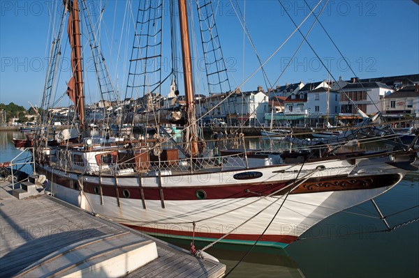 France, région Pays de la Loire, Loire Atlantique, Pornic, port et château.