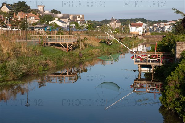 France, région Pays de la Loire, Loire Atlantique, Pornic, ria de Pornic, jardin paysagé.