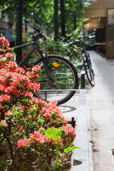 France, Région Ile de France, Paris 4e arrondissement, le Marais, Rue du Trésor, fleurs et terrasses,