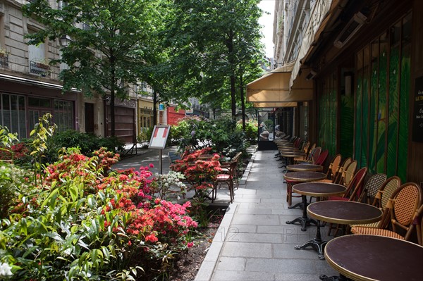 France, Région Ile de France, Paris 4e arrondissement, le Marais, Rue du Trésor, fleurs et terrasses,