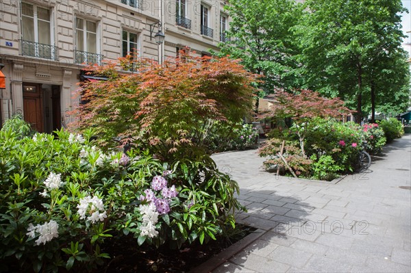 France, Région Ile de France, Paris 4e arrondissement, le Marais, Rue du Trésor, fleurs et terrasses,