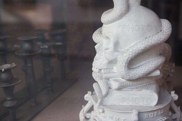 France, Région Ile de France, Paris 6e arrondissement, Rue de l'Ecole de Médecine, sculpture de crâne et serpent dans une vitrine de crêperie fermée définitivement,