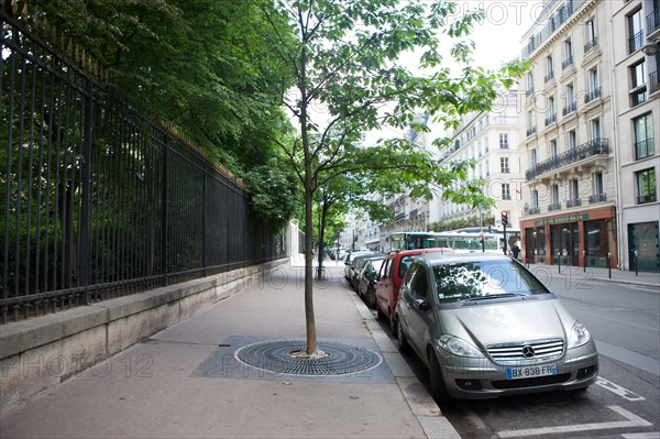 Paris 6e arrondissement,  Jardin du Luxembourg