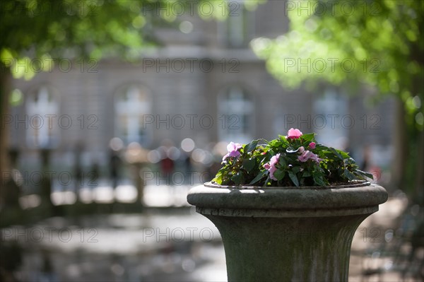 Paris 6e arrondissement,  Jardin du Luxembourg