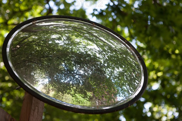 France, Région Ile de France, Paris 6e arrondissement, Jardin du Luxembourg, miroir rond, reflet des arbres,