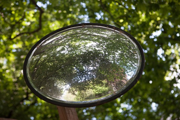 France, Région Ile de France, Paris 6e arrondissement, Jardin du Luxembourg, miroir rond, reflet des arbres,