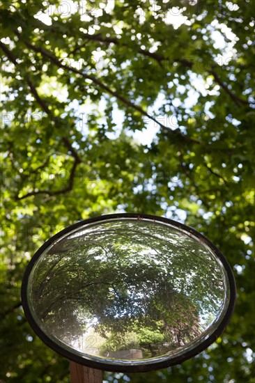 France, Région Ile de France, Paris 6e arrondissement, Jardin du Luxembourg, miroir rond, reflet des arbres,